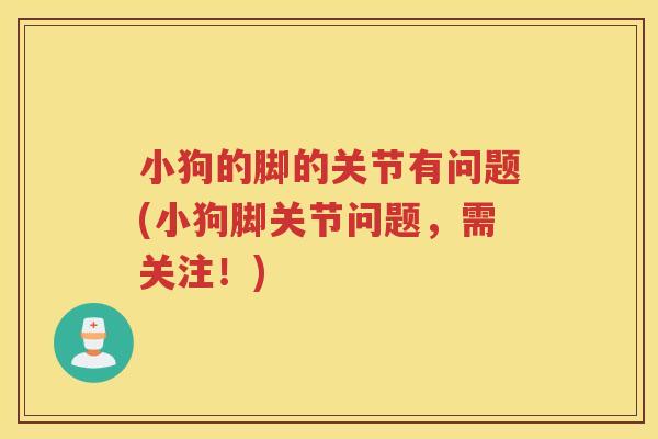 小狗的脚的关节有问题(小狗脚关节问题,需关注!) 小狗的脚的关节有问题(小狗脚关节问题,需关注!)