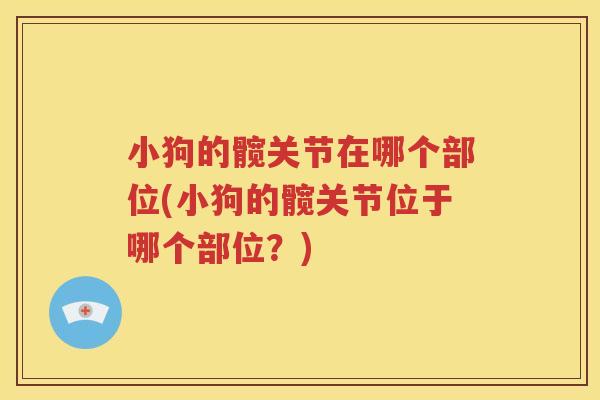 小狗的髋关节在哪个部位(小狗的髋关节位于哪个部位?) 小狗的髋关节在哪个部位(小狗的髋关节位于哪个部位?)