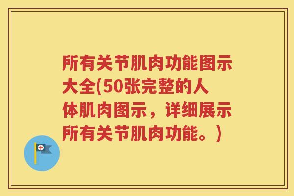 所有关节肌肉功能图示大全(50张完整的人体肌肉图示,详细展示所有关节肌肉功能。) 所有关节肌肉功能图示大全(50张完整的人体肌肉图示,详细展示所有关节肌肉功能。)