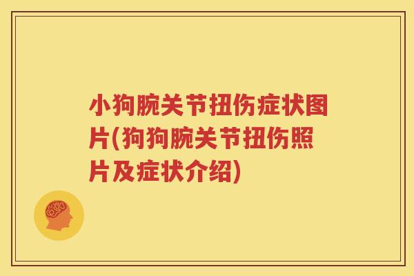小狗腕关节扭伤症状图片(狗狗腕关节扭伤照片及症状介绍) 小狗腕关节扭伤症状图片(狗狗腕关节扭伤照片及症状介绍)