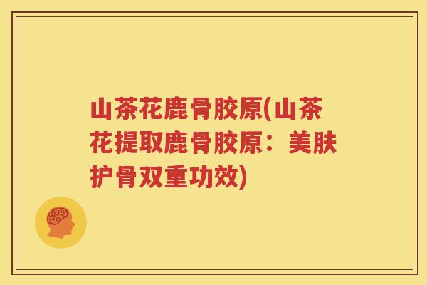 山茶花鹿骨胶原(山茶花提取鹿骨胶原：美肤护骨双重功效)