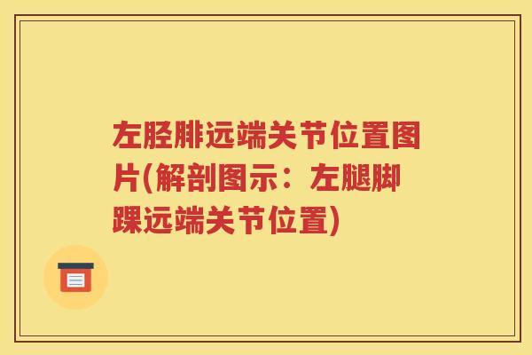 左胫腓远端关节位置图片(解剖图示:左腿脚踝远端关节位置) 左胫腓远端关节位置图片(解剖图示:左腿脚踝远端关节位置)
