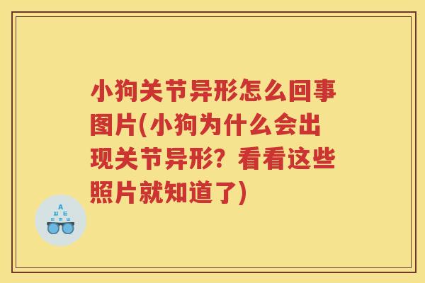 小狗关节异形怎么回事图片(小狗为什么会出现关节异形?看看这些照片就知道了) 小狗关节异形怎么回事图片(小狗为什么会出现关节异形?看看这些照片就知道了)