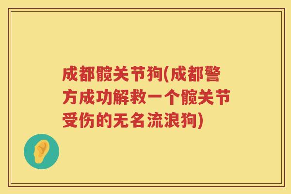 成都髋关节狗(成都警方成功解救一个髋关节受伤的无名流浪狗)