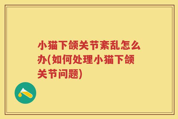 小猫下颌关节紊乱怎么办(如何处理小猫下颌关节问题)