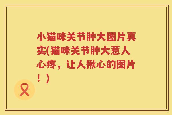 小猫咪关节肿大图片真实(猫咪关节肿大惹人心疼,让人揪心的图片!) 小猫咪关节肿大图片真实(猫咪关节肿大惹人心疼,让人揪心的图片!)