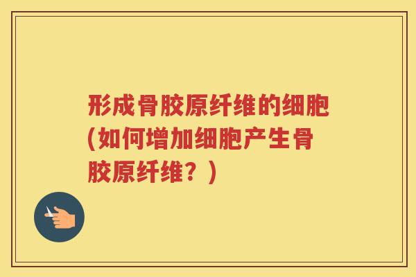 形成骨胶原纤维的细胞(如何增加细胞产生骨胶原纤维?) 形成骨胶原纤维的细胞(如何增加细胞产生骨胶原纤维?)