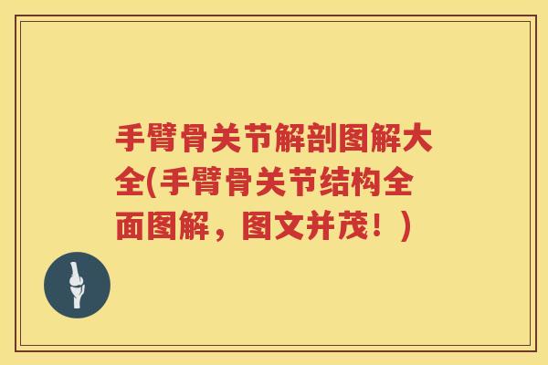 手臂骨关节解剖图解大全(手臂骨关节结构全面图解,图文并茂!) 手臂骨关节解剖图解大全(手臂骨关节结构全面图解,图文并茂!)
