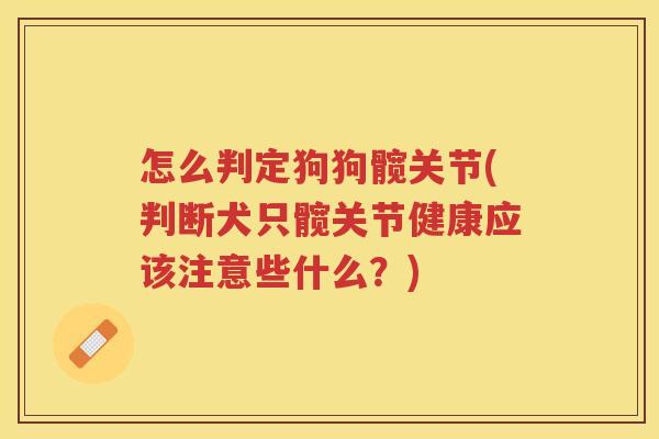 怎么判定狗狗髋关节(判断犬只髋关节健康应该注意些什么？)