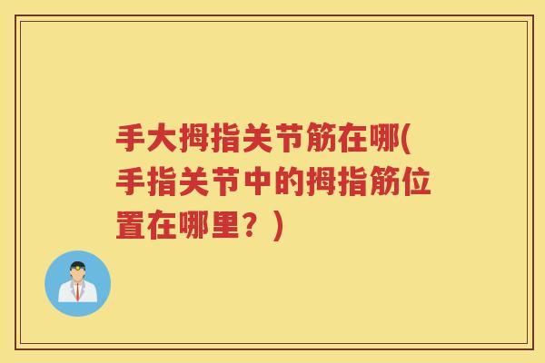 手大拇指关节筋在哪(手指关节中的拇指筋位置在哪里？)