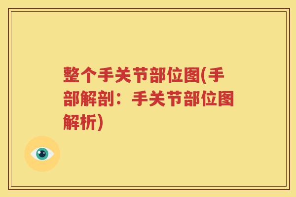 整个手关节部位图(手部解剖:手关节部位图解析) 整个手关节部位图(手部解剖:手关节部位图解析)