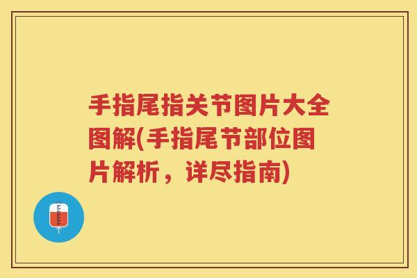 手指尾指关节图片大全图解(手指尾节部位图片解析，详尽指南)