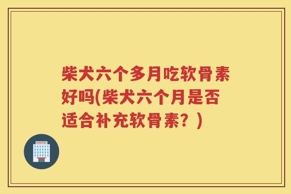 柴犬六个多月吃软骨素好吗(柴犬六个月是否适合补充软骨素?) 柴犬六个多月吃软骨素好吗(柴犬六个月是否适合补充软骨素?)