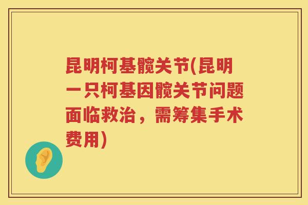 昆明柯基髋关节(昆明一只柯基因髋关节问题面临救,需筹集手术费用) 昆明柯基髋关节(昆明一只柯基因髋关节问题面临救,需筹集手术费用)
