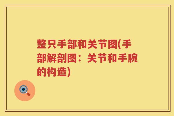 整只手部和关节图(手部解剖图:关节和手腕的构造) 整只手部和关节图(手部解剖图:关节和手腕的构造)