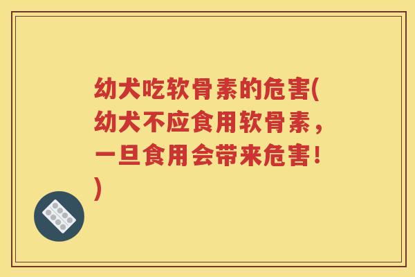 幼犬吃软骨素的危害(幼犬不应食用软骨素，一旦食用会带来危害！)