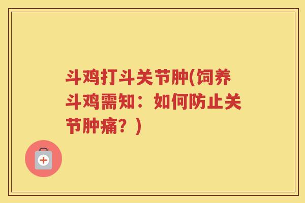 斗鸡打斗关节肿(饲养斗鸡需知:如何防止关节肿痛?) 斗鸡打斗关节肿(饲养斗鸡需知:如何防止关节肿痛?)