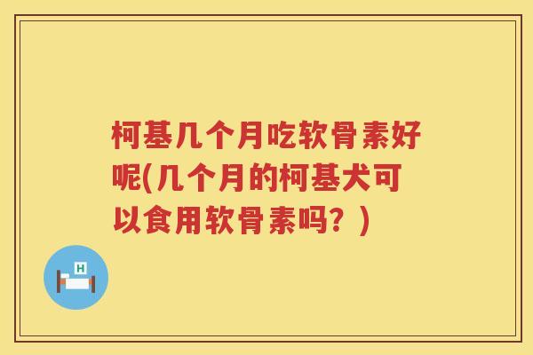 柯基几个月吃软骨素好呢(几个月的柯基犬可以食用软骨素吗?) 柯基几个月吃软骨素好呢(几个月的柯基犬可以食用软骨素吗?)
