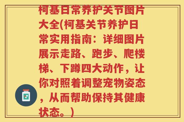 柯基日常养护关节图片大全(柯基关节养护日常实用指南:详细图片展示走路、跑步、爬楼梯、下蹲四大动作,让你对照着调整宠物姿态,从而帮助保持其健康状态。) 柯基日常养护关节图片大全(柯基关节养护日常实用指南:详细图片展示走路、跑步、爬楼梯、下蹲四大动作,让你对照着调整宠物姿态,从而帮助保持其健康状态。)