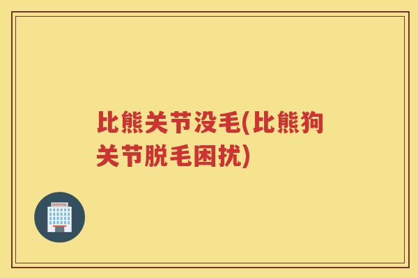 比熊关节没毛(比熊狗关节脱毛困扰)