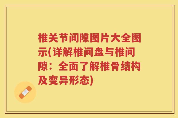 椎关节间隙图片大全图示(详解椎间盘与椎间隙:全面了解椎骨结构及变异形态) 椎关节间隙图片大全图示(详解椎间盘与椎间隙:全面了解椎骨结构及变异形态)