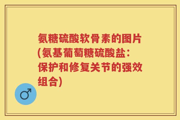 氨糖硫酸软骨素的图片(氨基葡萄糖硫酸盐:保护和修复关节的强效组合) 氨糖硫酸软骨素的图片(氨基葡萄糖硫酸盐:保护和修复关节的强效组合)