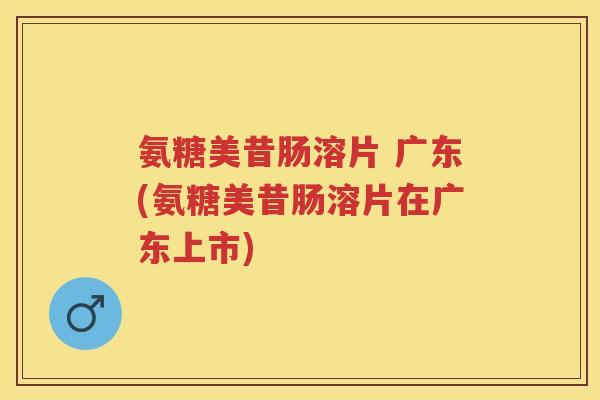 氨糖美昔肠溶片 广东(氨糖美昔肠溶片在广东上市)