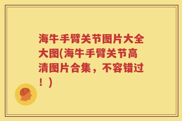 海牛手臂关节图片大全大图(海牛手臂关节高清图片合集,不容错过!) 海牛手臂关节图片大全大图(海牛手臂关节高清图片合集,不容错过!)