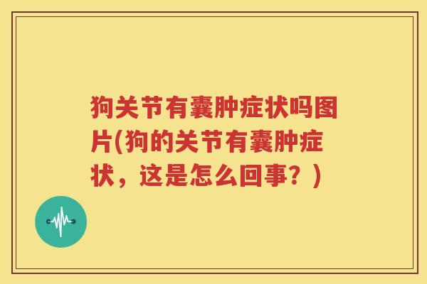 狗关节有囊肿症状吗图片(狗的关节有囊肿症状，这是怎么回事？)