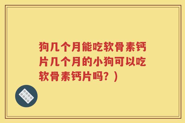 狗几个月能吃软骨素钙片几个月的小狗可以吃软骨素钙片吗？)