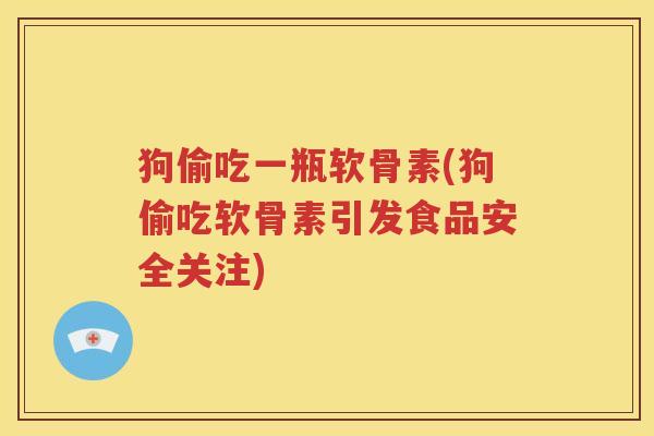 狗偷吃一瓶软骨素(狗偷吃软骨素引发食品安全关注) 狗偷吃一瓶软骨素(狗偷吃软骨素引发食品安全关注)