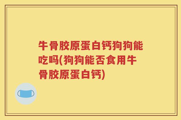 牛骨胶原蛋白钙狗狗能吃吗(狗狗能否食用牛骨胶原蛋白钙)