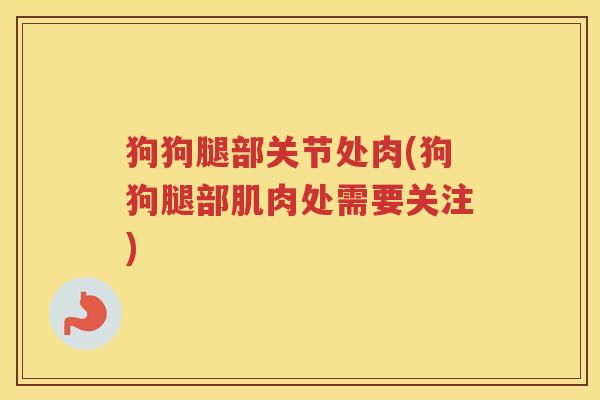 狗狗腿部关节处肉(狗狗腿部肌肉处需要关注) 狗狗腿部关节处肉(狗狗腿部肌肉处需要关注)