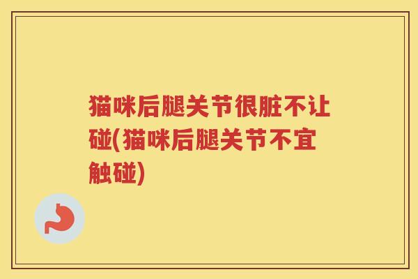 猫咪后腿关节很脏不让碰(猫咪后腿关节不宜触碰) 猫咪后腿关节很脏不让碰(猫咪后腿关节不宜触碰)