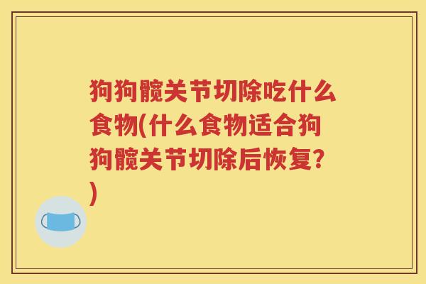 狗狗髋关节切除吃什么食物(什么食物适合狗狗髋关节切除后恢复？)