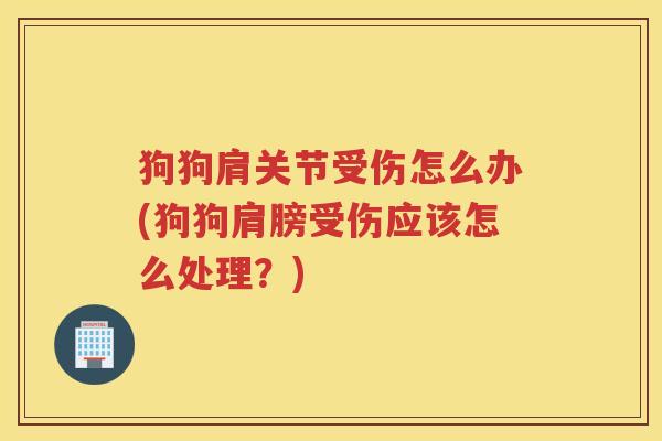 狗狗肩关节受伤怎么办(狗狗肩膀受伤应该怎么处理?) 狗狗肩关节受伤怎么办(狗狗肩膀受伤应该怎么处理?)