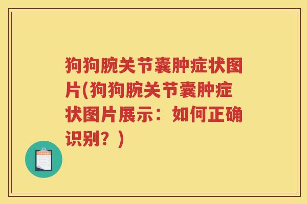 狗狗腕关节囊肿症状图片(狗狗腕关节囊肿症状图片展示:如何正确识别?) 狗狗腕关节囊肿症状图片(狗狗腕关节囊肿症状图片展示:如何正确识别?)