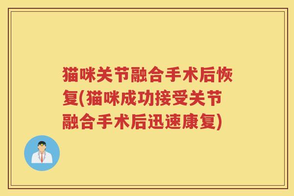 猫咪关节融合手术后恢复(猫咪成功接受关节融合手术后迅速康复)
