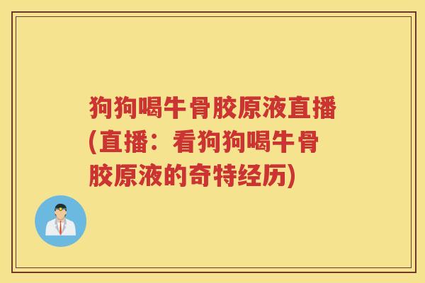 狗狗喝牛骨胶原液直播(直播:看狗狗喝牛骨胶原液的奇特经历) 狗狗喝牛骨胶原液直播(直播:看狗狗喝牛骨胶原液的奇特经历)