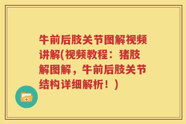 牛前后肢关节图解视频讲解(视频教程:猪肢解图解,牛前后肢关节结构详细解析!) 牛前后肢关节图解视频讲解(视频教程:猪肢解图解,牛前后肢关节结构详细解析!)