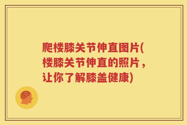 爬楼膝关节伸直图片(楼膝关节伸直的照片,让你了解膝盖健康) 爬楼膝关节伸直图片(楼膝关节伸直的照片,让你了解膝盖健康)