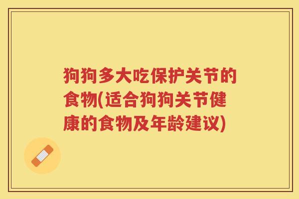 狗狗多大吃保护关节的食物(适合狗狗关节健康的食物及年龄建议)