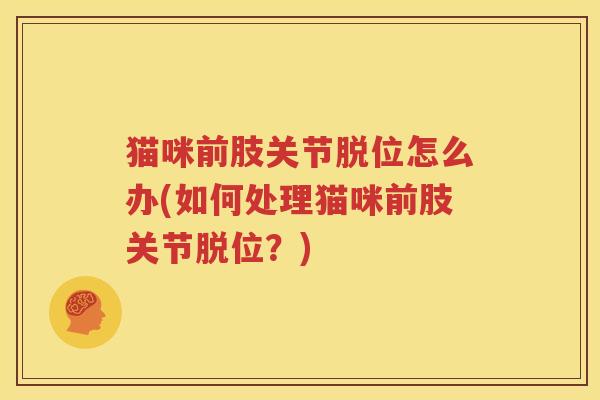 猫咪前肢关节脱位怎么办(如何处理猫咪前肢关节脱位？)