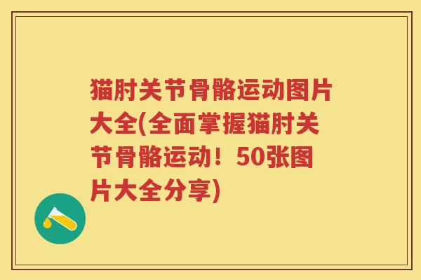 猫肘关节骨骼运动图片大全(全面掌握猫肘关节骨骼运动!50张图片大全分享) 猫肘关节骨骼运动图片大全(全面掌握猫肘关节骨骼运动!50张图片大全分享)