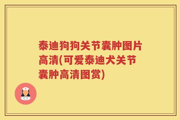 泰迪狗狗关节囊肿图片高清(可爱泰迪犬关节囊肿高清图赏) 泰迪狗狗关节囊肿图片高清(可爱泰迪犬关节囊肿高清图赏)