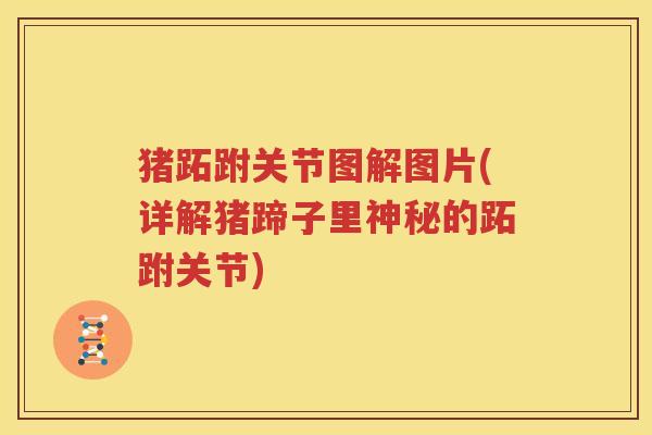 猪跖跗关节图解图片(详解猪蹄子里神秘的跖跗关节) 猪跖跗关节图解图片(详解猪蹄子里神秘的跖跗关节)