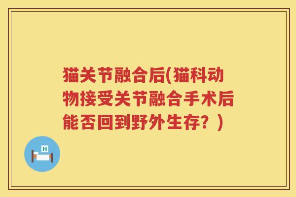 猫关节融合后(猫科动物接受关节融合手术后能否回到野外生存？)