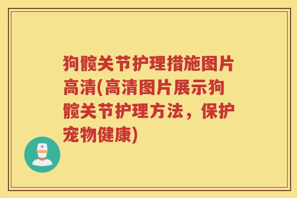 狗髋关节护理措施图片高清(高清图片展示狗髋关节护理方法，保护宠物健康)