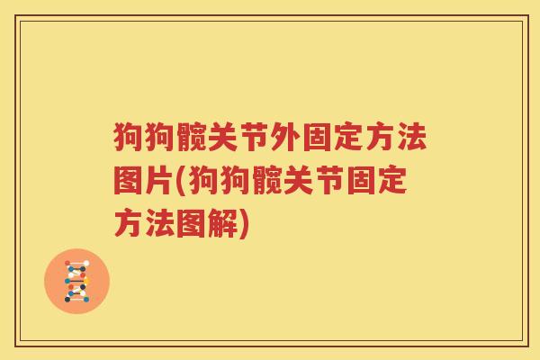 狗狗髋关节外固定方法图片(狗狗髋关节固定方法图解) 狗狗髋关节外固定方法图片(狗狗髋关节固定方法图解)