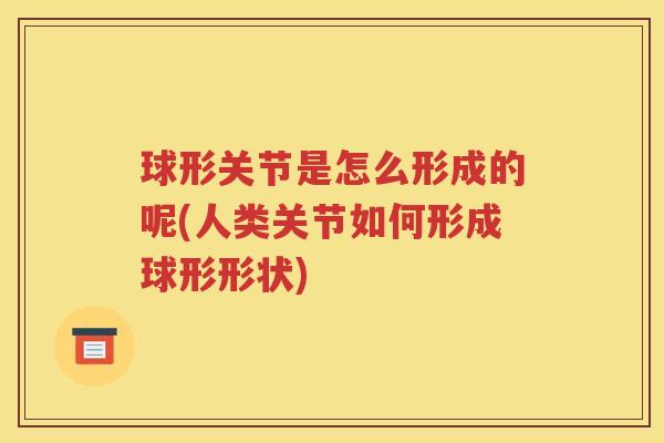 球形关节是怎么形成的呢(人类关节如何形成球形形状)